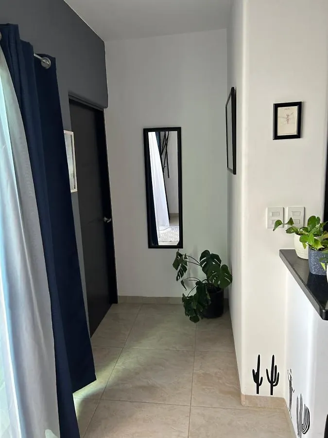 Apartment Jacuzzi Ocean View Кабо-Сан-Лукас